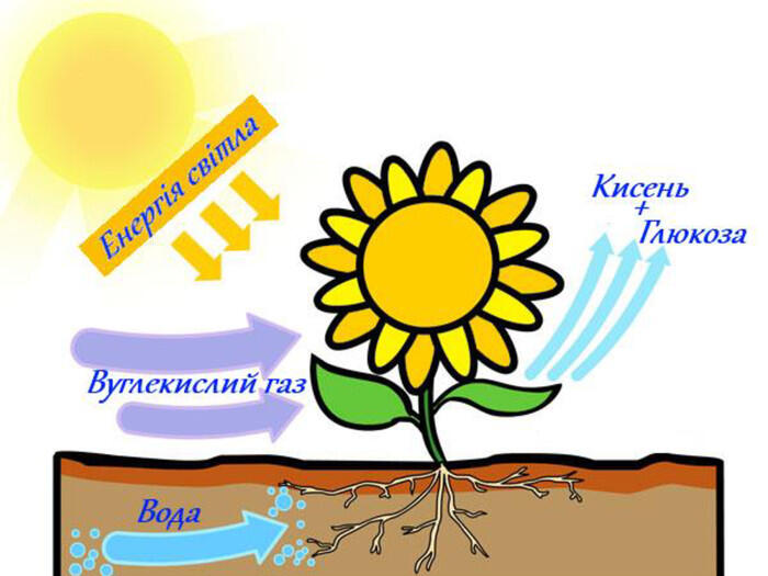 0901hfl2-aa8c-700x525.jpg