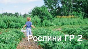Рослини НУШ 5 кл.