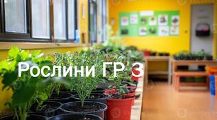 Рослини НУШ 5 клас