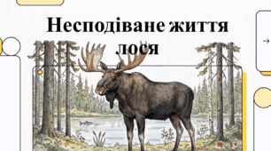 Відеоогляд "Лосі"