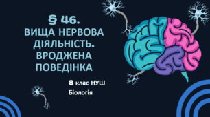 Презентація  до уроку  «§ 46. Вища нервова діяльність. Вроджена поведінка»  8 клас НУШ