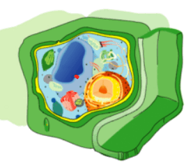 0901hizg-3bd8-277x235.png