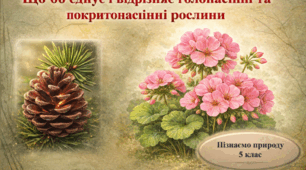 Що об’єднує і відрізняє голонасінні і покритонасінні рослини. Практична робота "Ботанічні детективи".
