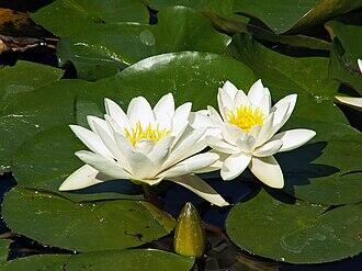 0901hjgi-a3b6-330x247.jpg