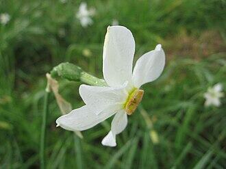 0901hjhz-d602-330x247.jpg