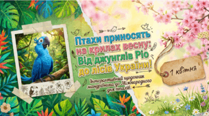 Міжнародний день птахів: презентація + інфографіка + щоденник спостережень