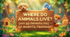 26. Where do animals live? (Де живуть тварини?)
