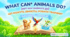 29. What can animals do? (Що можуть робити тварини?)