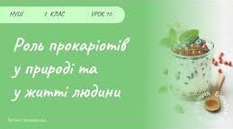 9. Роль прокаріотів у житті людини