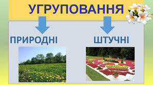 6 Природні та штучні угруповання 