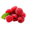 0901hn6e-25b3-61x61.png