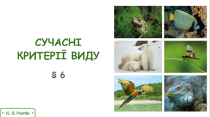 Презентація на тему "Сучасні критерії виду". 10 клас