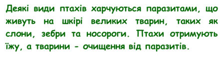 0901hodu-9186-447x115.png