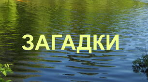 Кросворд ЗАГАДКИ "ПРО ЛЮДИНУ"