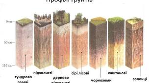 Типи Грунтів
