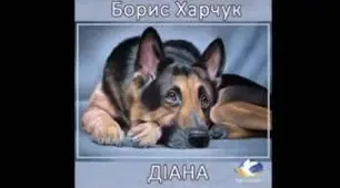 Борис Харчук ʼʼДіанаʼʼ