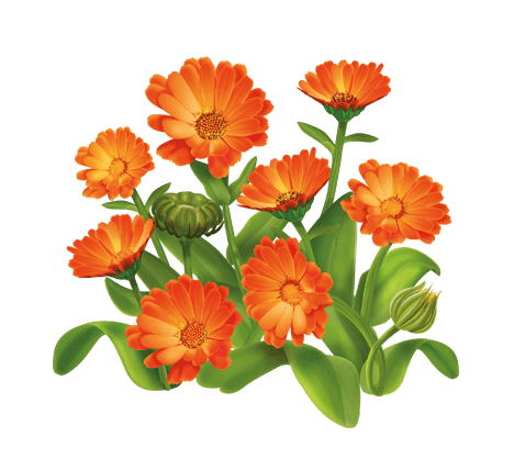 0901hupg-3900-468x428.png