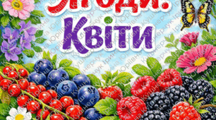 Дидактична гра "Сортування". Квіти та ягоди.
