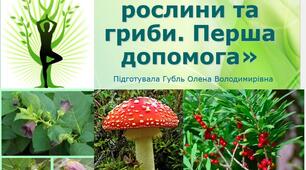 Гра "Отруйні ягоди та гриби" для 7-9 класів