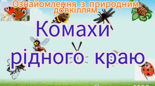 Ознайомлення з природним довкіллям ( Комахи рідного краю)