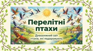 Презентація "Перелітні птахи"