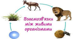 0901i1bt-c6b0-310x162.jpg