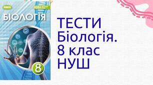 Будова та функції репродуктивної системи людини