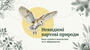 Охорона та значення пернатих друзів у нашому житті