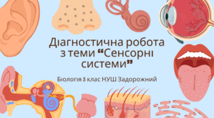 Діагностична робота з теми «Сенсорні системи» 8 клас Задорожний