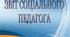 Описовий звіт соціального педагога