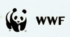 29 квітня- День народження Всесвітнього фонду дикої природи. 🌍🐼Історія WWF: Шлях панди. Відеоурок+презентація+інфографіка