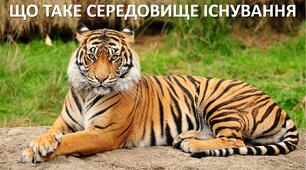 Презентація до уроку: "ЩО ТАКЕ СЕРЕДОВИЩЕ ІСНУВАННЯ "
