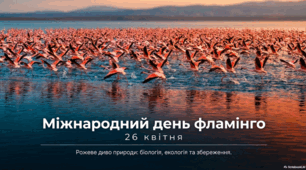 26 квітня - Міжнародний день фламінго