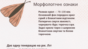 Екологічний гід «Скарби рідного краю: Червона книга Житомирщини»