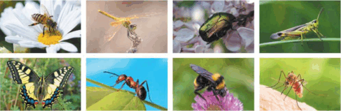 0901ibkx-cee2-487x159.png