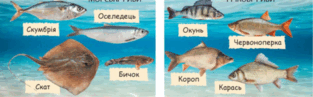 0901ibla-bc40-491x152.png