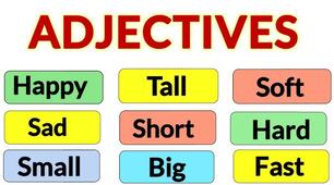 THE ADJECTIVE. TEST 1
