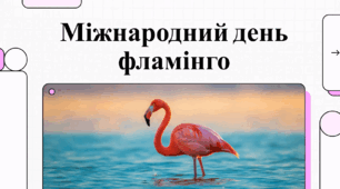 Відеоогляд "26 квітня - Міжнародний день фламінго"