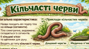 Кільчасті черви.