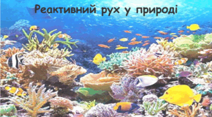 Пазл "Реактивний рух  у морі"