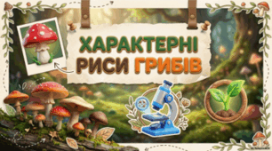 7 клас НУШ. Характерні риси грибів