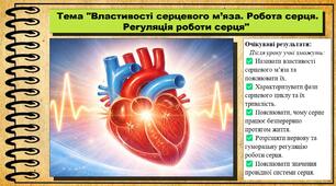 Презентація. Властивості серцевого м’яза. Робота серця. Регуляція роботи серця. Біологія. 8 клас. До підручника Задорожний К. та ін.