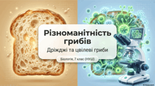 7 клас НУШ. Різноманітність грибів. Дріжджі. Цвілеві гриби