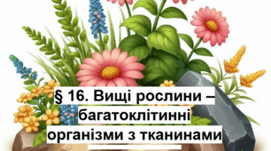 § 16. Вищі рослини – багатоклітинні організми з тканинами та органами
