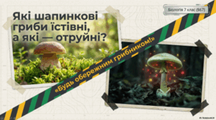 7 клас НУШ. Які шапинкові гриби їстівні, а які — отруйні