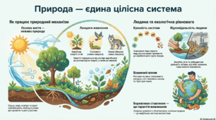 Урок 115. Як людина змінює природу? Інфографіка
