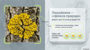7 клас НУШ. Лишайники