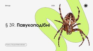 Презентація на тему: "Павукоподібні"