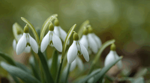 0901igww-0b67-292x163.png