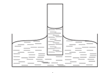 0901ii8n-8e19-213x143.png